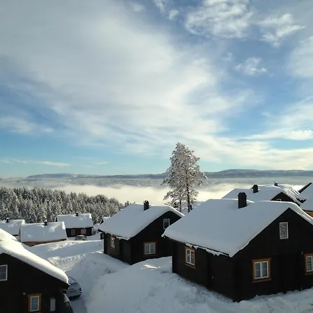 Kongsberg Booking