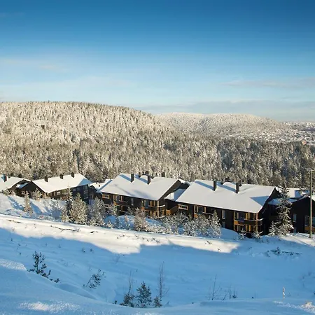 Kongsberg Booking Lejlighed Kongsberg