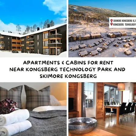 Apartamento Kongsberg Booking