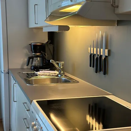 公寓 Kongsberg Booking 康斯博