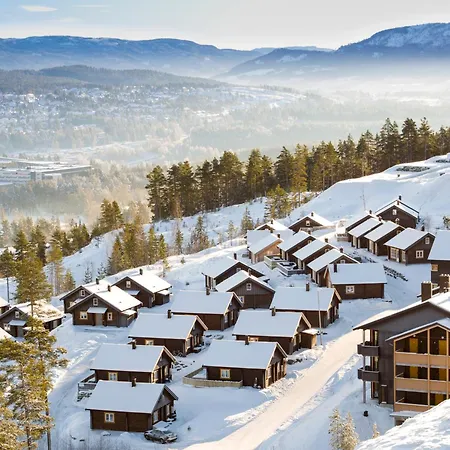 公寓 Kongsberg Booking *